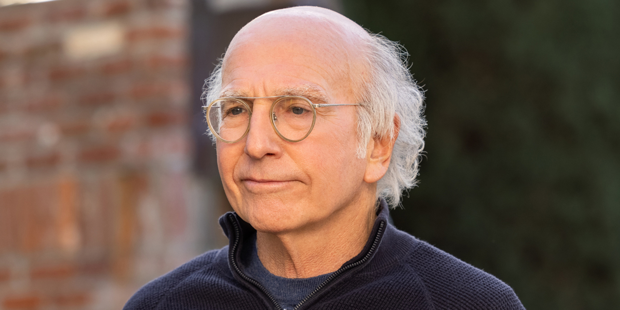 Read more about the article Larry David
